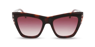 Police  Superstar 4 Splr24 Unisex Havana Cat Eye Sunglasses