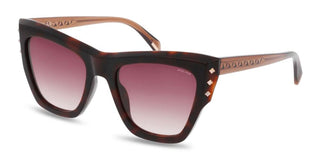 Police  Superstar 4 Splr24 Unisex Havana Cat Eye Sunglasses