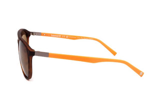 Timberland Tb9199 Unisex Havana Pilot Sunglasses