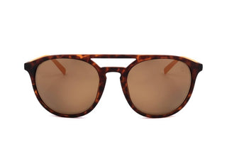 Timberland Tb9199 Unisex Havana Pilot Sunglasses