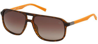Timberland TB9200 men Havana Pilot Sunglasses