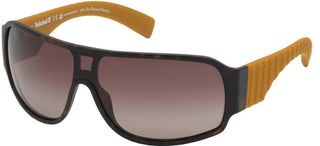 Timberland TB9216 men Havana Shield Sunglasses