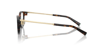 Tiffany & Co. Tf 2252d Women Havana Cat Eye Eyeglasses