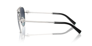 Tiffany & Co. Tf 3101b Women Silver Pilot Sunglasses