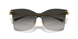 Tiffany & Co. Tf 3103k Women Gold Butterfly Sunglasses