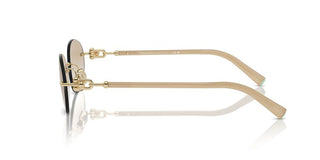 Tiffany & Co. TF 3104D unisex Gold Oval Sunglasses