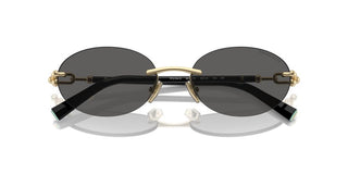 Tiffany & Co. Tf 3104d Unisex Gold Oval Sunglasses