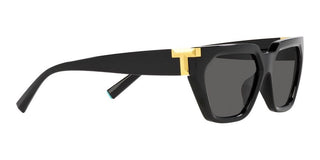 Tiffany & Co. TF 4205U women Black Geometric Sunglasses