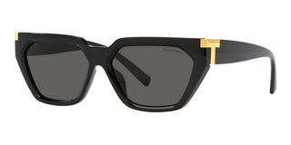 Tiffany & Co. TF 4205U women Black Geometric Sunglasses