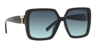 Tiffany & Co. TF 4206U women Black Geometric Sunglasses