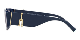 Tiffany & Co. TF 4208U women 0 Geometric Sunglasses