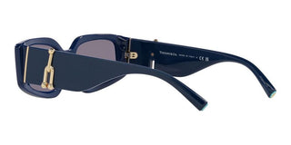 Tiffany & Co. TF 4208U women 0 Geometric Sunglasses