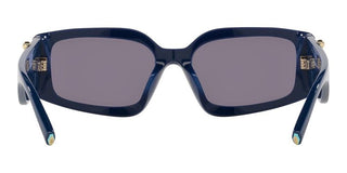 Tiffany & Co. TF 4208U women 0 Geometric Sunglasses