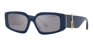 Tiffany & Co. TF 4208U women 0 Geometric Sunglasses