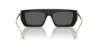 Tiffany & Co. TF 4214U women Green Geometric Sunglasses