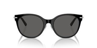 Tiffany & Co. Tf 4223d Women Black Cat Eye Sunglasses