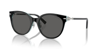 Tiffany & Co. Tf 4223d Women Black Cat Eye Sunglasses