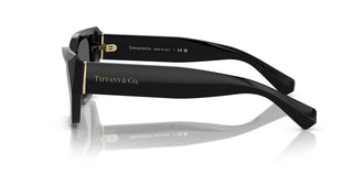 Tiffany & Co. Tf 4230 Women Black Cat Eye Sunglasses
