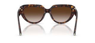 Tiffany & Co. TF 4238U women Havana Cat Eye Sunglasses