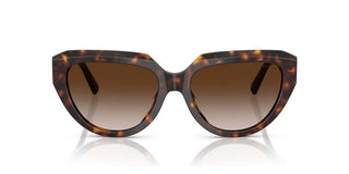 Tiffany & Co. TF 4238U women Havana Cat Eye Sunglasses