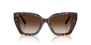 Tiffany & Co. TF 4239U women Havana Butterfly Sunglasses