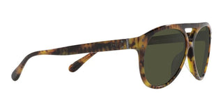 Ralph Lauren THE CRUISER RL 8211U men Havana Pilot Sunglasses