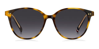 Tommy Hilfiger TH 2289/S women Havana Pantos Sunglasses