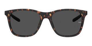 Under Armour UA GAMUT men Havana Geometric Sunglasses