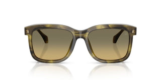 Moncler Valaire Me6018 Unisex Havana Squared Sunglasses