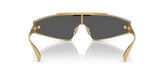 Versace VE 2265 women Gold Cat Eye Sunglasses