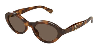 Valentino VG0008S women Havana Cat Eye Sunglasses