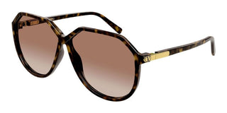 Valentino VG0026S women Havana Pilot Sunglasses