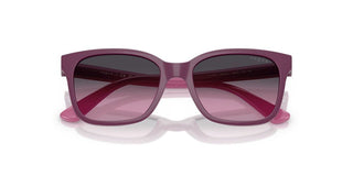 Vogue Vj 2027 Men Violet  Sunglasses
