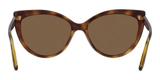 Vogue VO 5484S women Havana Cat Eye Sunglasses