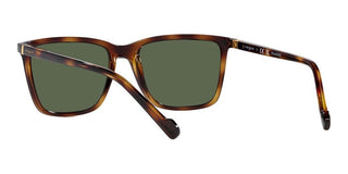 Vogue VO 5493S men Havana Squared Sunglasses