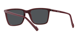 Vogue VO 5493S men Red Squared Sunglasses