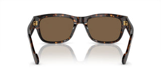 Vogue VO 5530S men Havana Geometric Sunglasses