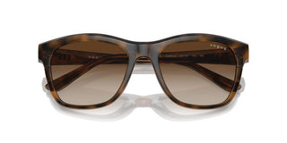 Vogue Vo 5557s Women Havana Pantos Sunglasses