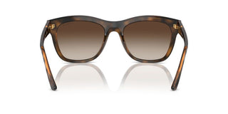 Vogue Vo 5557s Women Havana Pantos Sunglasses