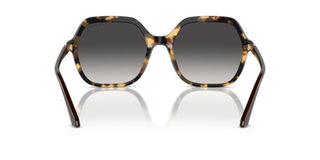 Vogue Vo 5561s Women Havana Geometric Sunglasses
