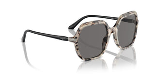 Vogue Vo 5561s Women Havana Geometric Sunglasses