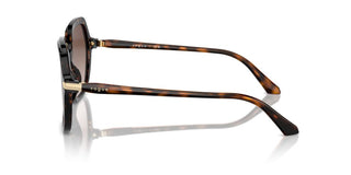 Vogue Vo 5561s Women Havana Geometric Sunglasses
