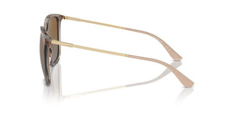 Vogue Vo 5564s Women Brown Squared Sunglasses