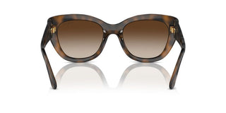 Vogue Vo 5567s Women Havana Butterfly Sunglasses