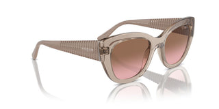 Vogue Vo 5567s Women Brown Butterfly Sunglasses