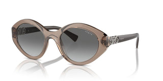 Vogue Vo 5576sb Women Brown Oval Sunglasses