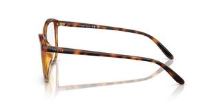 Vogue Vo 5602 Women Havana Pantos Eyeglasses