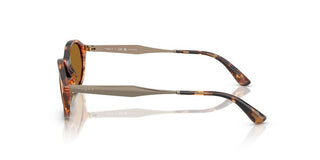 Vogue Vo 5625s Women Havana Oval Sunglasses