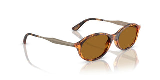Vogue Vo 5625s Women Havana Oval Sunglasses