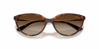 Vogue VO 5672S women Havana Cat Eye Sunglasses